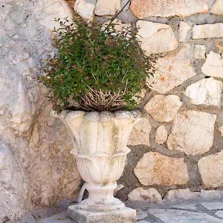 Villa Asteria